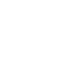 globe icon