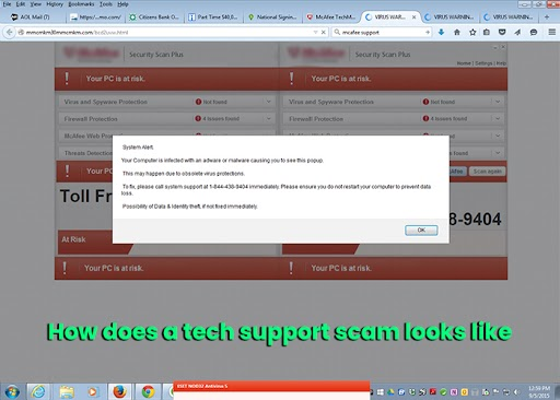 Tech Support Scams