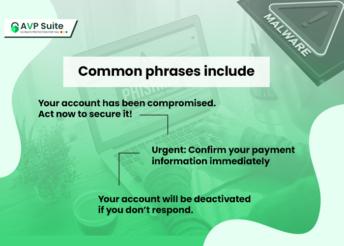 common phrases included by phishing scammer